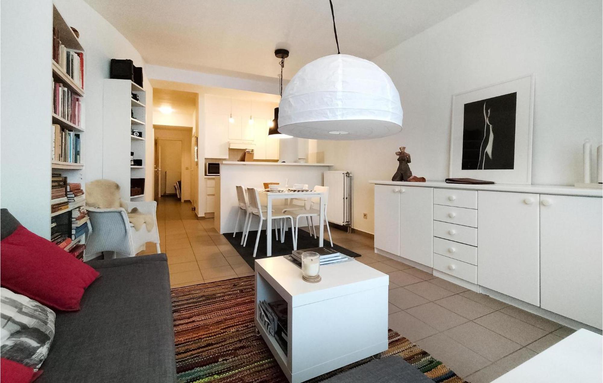 Awesome In With Kitchen Apartment